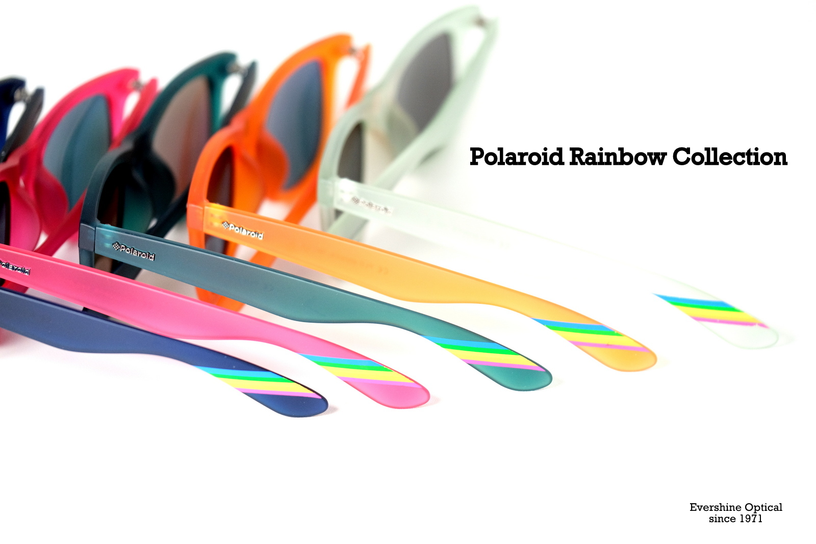 Polaroid Rainbow collection Wayfarer Evershine