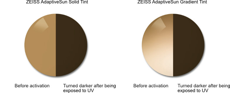 ZEISS AdaptiveSun Solid Gradient